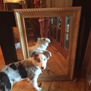 Meet your Posher, Melanie